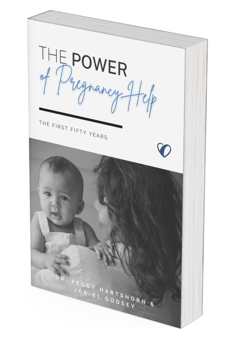 The Power of Pregnancy Help book